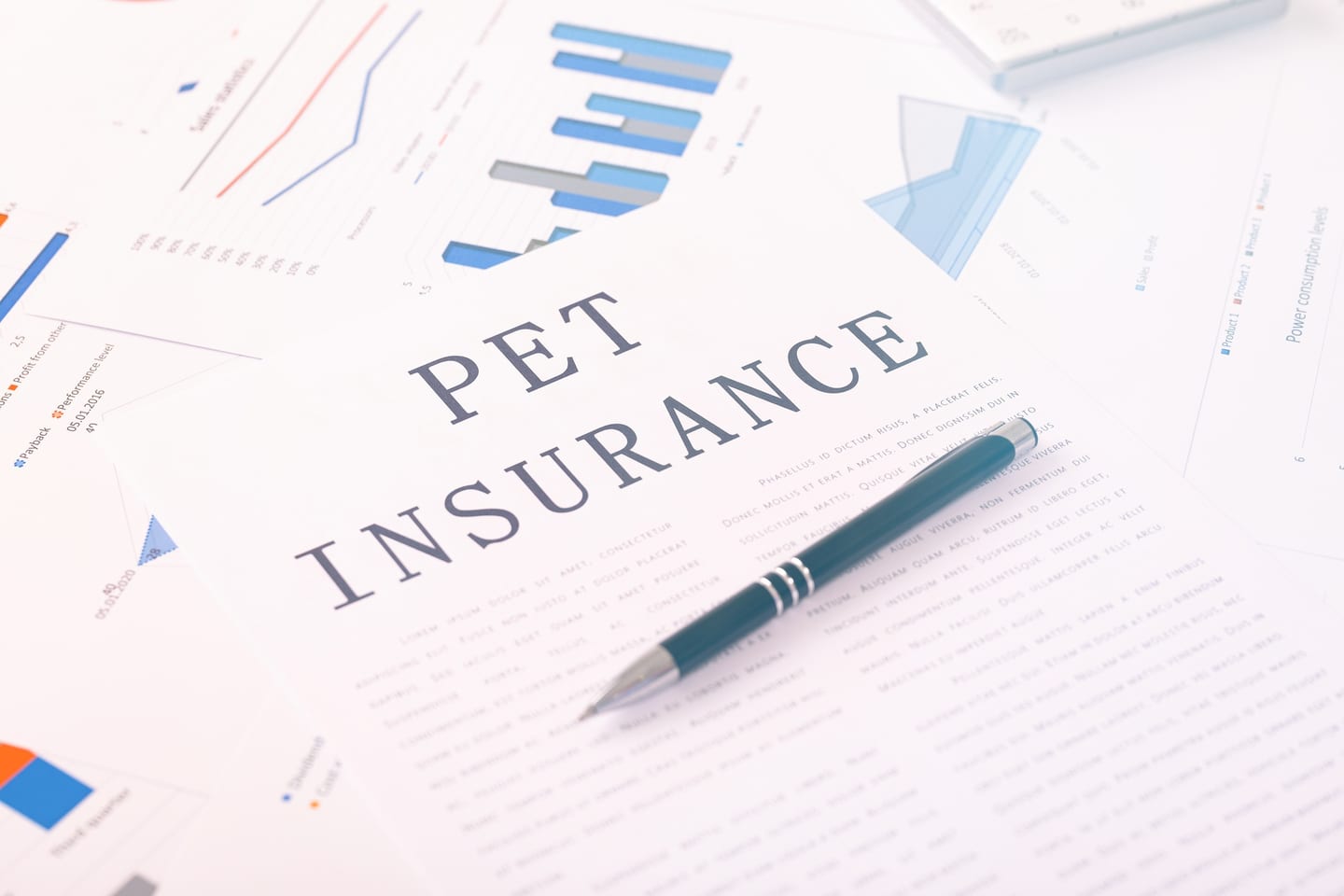 Pet insurance documents on a desk