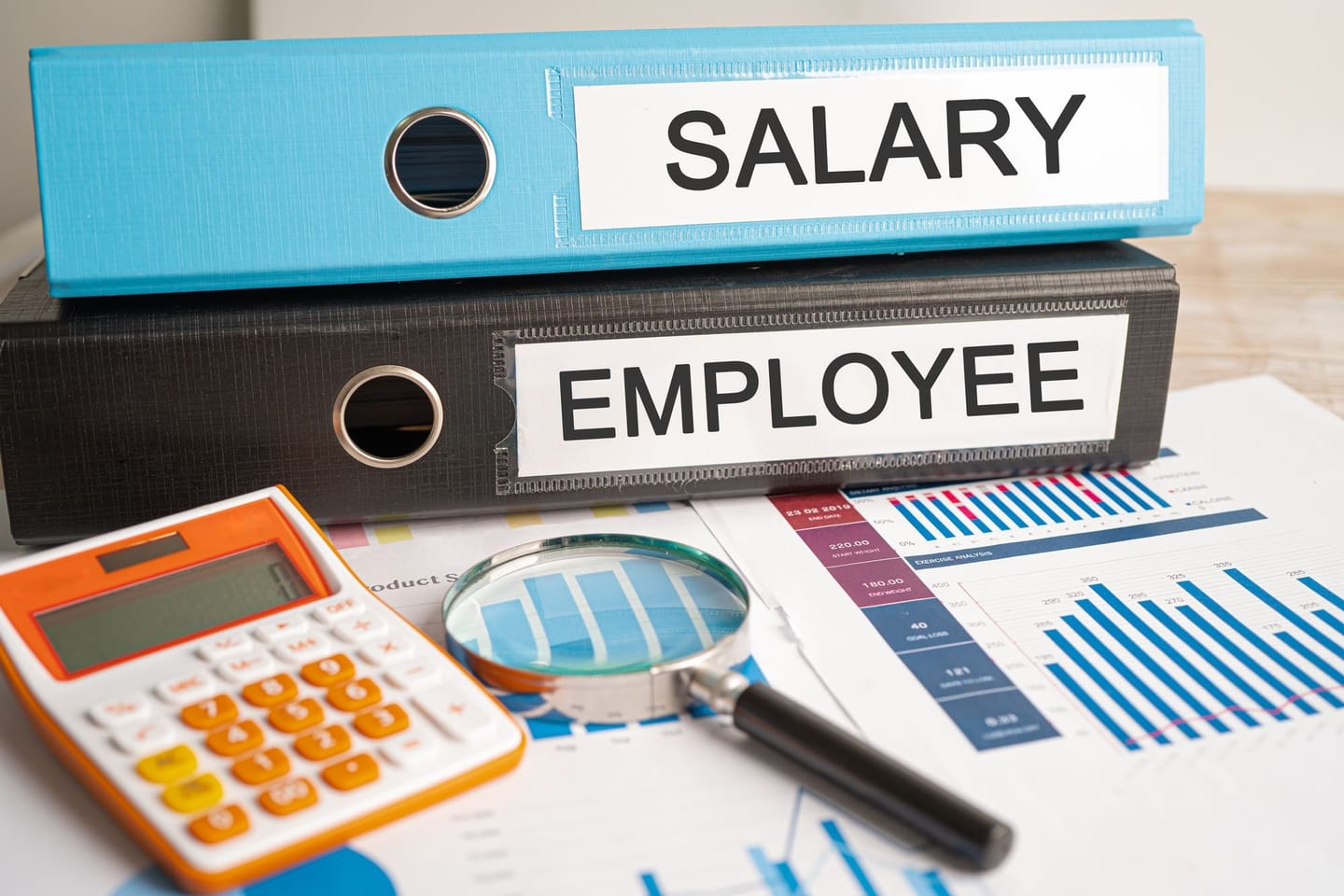 Payroll binder with salary and contribution records